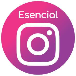 Instagram web esencial